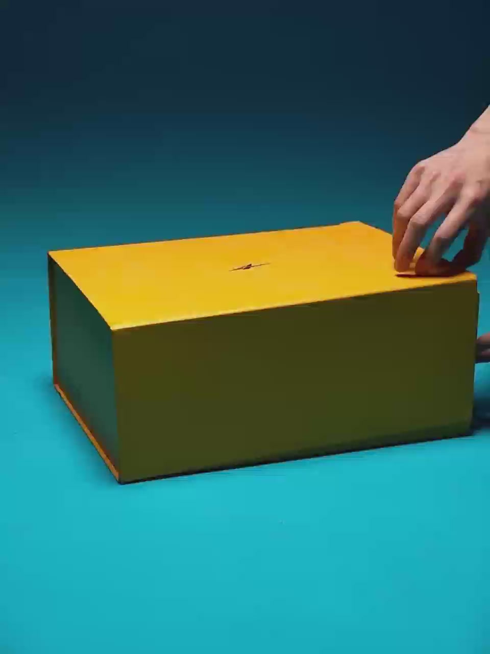 Charger la vidéo: 